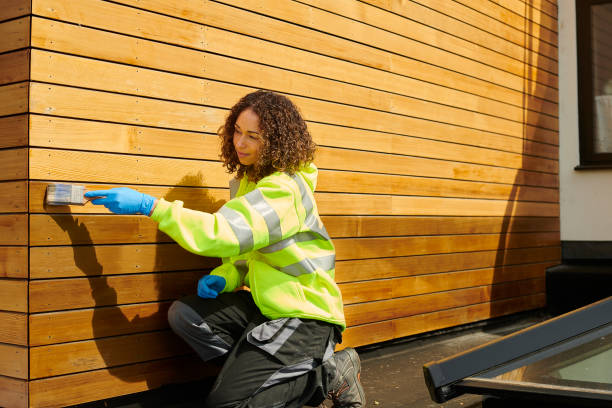 Best Siding Removal and Disposal  in Carefree, AZ